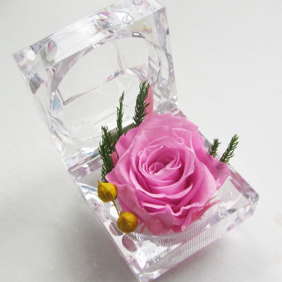 Immagine di Acrilato Ornamenti Rosa Rosa 1 Pz